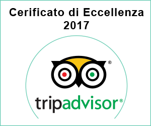 TripAdvisor